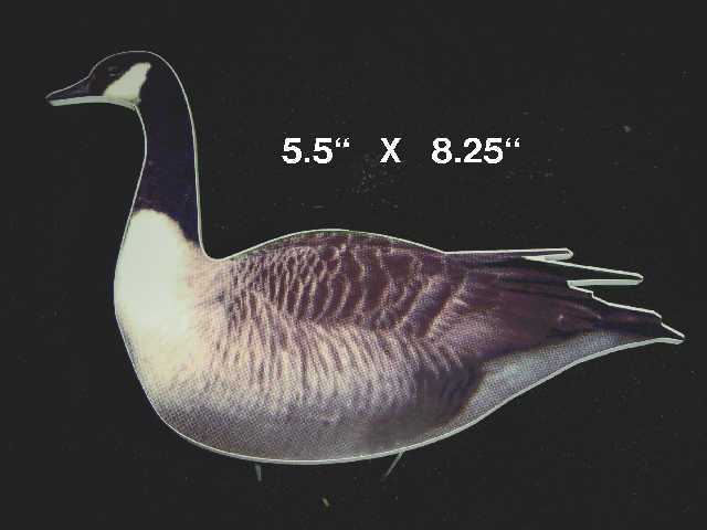 GOOSE
